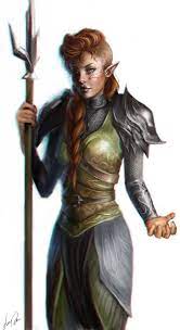 Sylvana Dungeons And Dragons Characters Elf Warrior Elf Characters