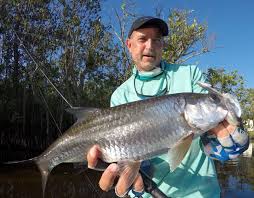Then get out there on your own or with a tarpon fishing charter. How To Catch Juvenile Tarpon On Light Spinning Gear Cadence Fishing Fishing Reels Rods And Combos