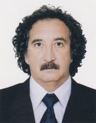 Directorio de Recursos Humanos afines a la CTI