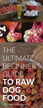 Raw Dog Food Recipes Easy Cheap 10 Bone Raw Diet For Dogs Raw Dog Food Recipes Homemade Raw Dog Food Recipes Dog Food Recipes