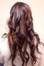 Copper And Mahogany Balayage And Partial Foil On Dark Hair Short Hair Balayage Hair Color Mahogany Balayage Hair Purple