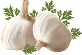 Garlic Png Image Garlic Healthy Fruits And Vegetables Vegetable Illustration