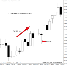 Video The Forex Pin Bar Trading Strategy Revealed Dpa Forex Trading Trading Strategies Trading Charts
