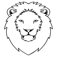 Premium Vector | Illustration of hand drawn of lion head line art