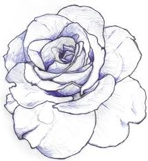 Small black rose silhouette with leaves source: Drawing Outline Rose Line Drawing Tattoo Design