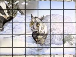 The Mitten By Jan Brett Classroom Videos Teaching Videos School Videos