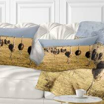 Wissenswertes spaßfakten witze erfindungen chaise witzig bücher lustige sachen nützliche life hacks. Ostrich Ladies Comfort Lounger Wayfair