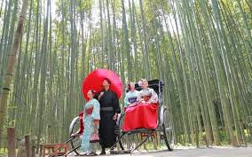 Untuk ke gion, bisa naik bus nomor 100/206 dari kiyomizumichi turun di halte bus gion. Fushimi Inari Shrine Kiyomizudera Kinkaku Ji Temple Arashiyama Tour From Kyoto