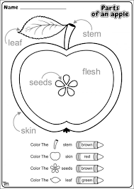 Parts Of An Apple Worksheet Pin On Free Printable Worksheets In 2020 Apple Preschool Preschool Apple Theme Preschool Worksheets