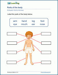 Body parts picture, download this wallpaper for free in hd resolution. Parts Of The Body Worksheets K5 Learning