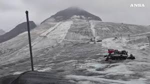 Trend Google: stelvio
