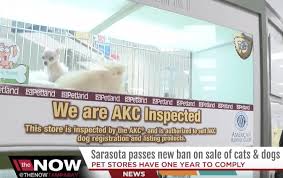 Check spelling or type a new query. Dog Buying Shop Near Me V1 Lenze Com Tr
