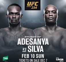 When and where is ufc 261 taking place? Ufc 234 Fighter Salaries Incentive Pay Attendance Gate The Sports Daily