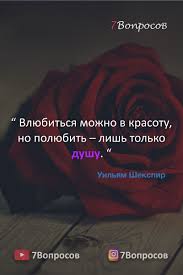 влюбиться можно в красоту но полюбить лишь только душу Krasivye Vdohnovlyayushie Citaty O Lyubvi V 2020 G Vdohnovlyayushie Citaty Mudrye Citaty Pravdivye Citaty