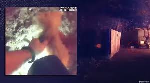 We did not find results for: Bodycam Captures Policeman S Rescue Of Two Dogs Near A Burning House In Florida Trending News The Indian Express