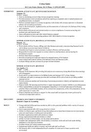 Senior Accountant, Revenue Resume Samples | Velvet Jobs