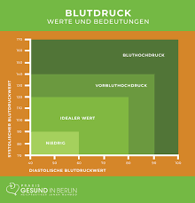 Wann zum arzt und welcher arzt ist der richtige? Niedriger Blutdruck Hypotonie Naturheilpraxis Gesund In Berlin