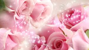 Hummingbirds and pink flowers 4k ultra hd wallpaper for desktop laptop tablet mobile phones and tv 3840х2400. Beautiful Pink Roses Pink Flowers Wallpaper Flower Wallpaper
