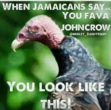 John Crow Jamaican Vulture Jamaican Quotes Jamaican Culture Jamaican Proverbs