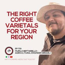 lee safar — Middle East Podcast — MAP IT FORWARD