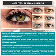 как изменить цвет глаз без линз с помощью упражнений Kak Umenshit Melanin V Glazah Kak Snizit Vyrabotku Melanina V Organizme Komitet Molodezhnoj Politiki Fizicheskoj Kultury I Sporta Administracii Goroda Ivanova