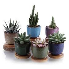 But if you can't afford one, use your own pots. Pin On Meu Jardim Minhas Plantas