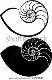 Alibaba.com offers 860 cutted ammonite fossil products. Ammonite Drawing Google Search Shell Drawing Sea Shells Nautilus Shell