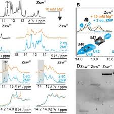 Apa yang ada di pikiran anda jika anda mendengar kata jackpot? A 1 H 1d Nmr Spectra Of Zsw 77 Before And After Addition Of Mg 2 And Download Scientific Diagram