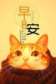 pin by allenloosd on 早安问候语录 movie posters poster movies