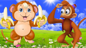 Image result for monkey picture cartoon