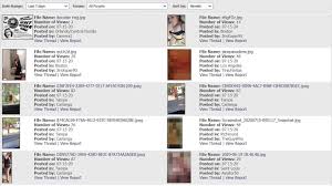 UsaSexGuide Review 2025: Urban Guide for Adventurous Guys