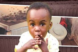 Two-thirds of social workers report children living in dangerously mouldy  homes