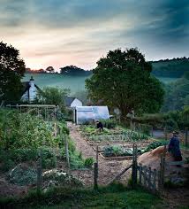 Beautiful Vegetable Garden Inspiration Garden Inspiration Dream Garden Farm Gardens