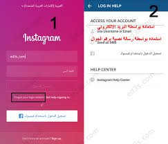 طريقة استعادة باسوورد انستقرام