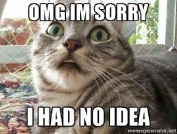 Best 21 I M Sorry Memes So Life Quotes Sorry Memes Funny Cat Jokes Cat Jokes