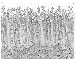 Wedding invitation template on chalkboard. Trees And Flowers Drawing By Morris Jackson Saatchi Art