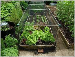 Here are some points to keep in mind: Mark S Veg Plot Vegetable Garden Design Veggie Garden Vegetable Garden