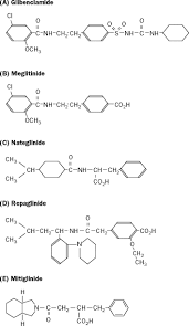 Image result for Meglitinide