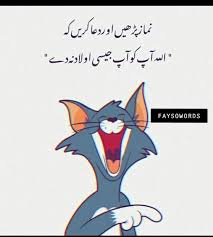 Urdu point has a diverse urdu poetry. Pin By Sadraja On Funny Jocks In 2021 Urdu Funny Quotes Cute Funny Quotes Bff Quotes Funny