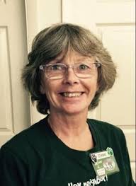 DeAnne Baugher Obituary (2017)