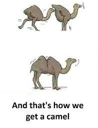 From a hit animated movie, to clever plays on words and reworking of a classic, kidadl says it'll be a laugh a minute with these extra camel. Short Camel Jokes