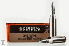 The Best 243 Ammo for Target Shooting Recommended by Experts 
Fort Scott Munitions 243 WINCHESTER 58 Grain Centerfire Rifle Ammunition 243-058-SCV  12% Off

remington 243 ammo
243 ammo in stock
browning 243 ammo
85 grain 243 bullets
243 varmint bullets
federal fusion 243 95 grain in stock
243 bullets for deer
winchester 243 ballistic tip ammo
