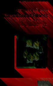 Image result for Barleria megalosiphon