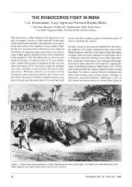 THE RHINOCEROS FIGHT IN INDIA