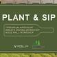 Plant & Sip | Spring Moss Wall Workshop