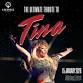 TINA TURNER: Simply the Best Tribute Show event image