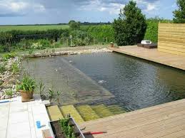 Super Schody I Taras Diy Swimming Pool Natural Swimming Ponds Natural Pool
