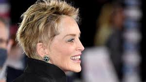 Sharon Stone mourns death of brother in Pennsylvania