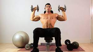Seated dumbbell press muscles worked. How To Do Seated Overhead Dumbbell Press Arm Workout Youtube