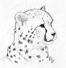 Draw a curved line towards the middle to begin the top of the head. Cheetah Cub By Khazwindnafuto On Deviantart